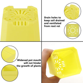 Foxany durable plastic pot withstands sun and weather in outdoor setups.