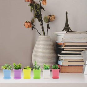 Foxany bright color pots organize a home nursery and seedling trays.