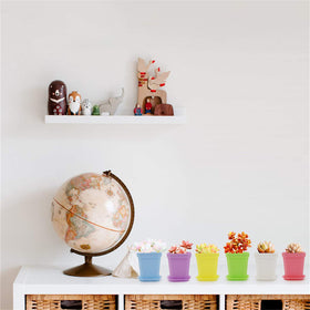 Foxany compact 3-inch pots fit windowsills and small plant groups.