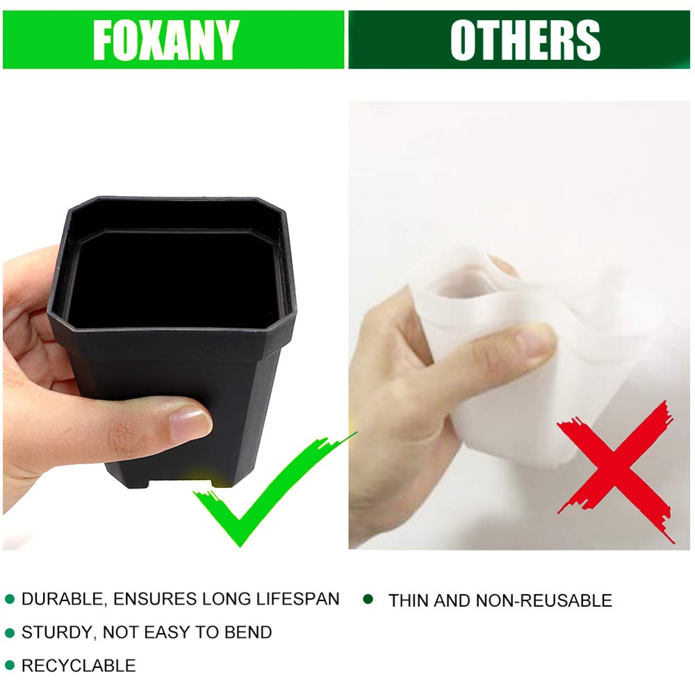 Foxany pots feature drainage holes to prevent waterlogging