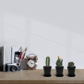 Foxany minimalist black pots ideal for indoor plant decor