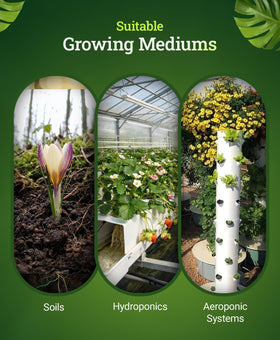 FoxFarm Beastie Bloomz micronutrient blend for vibrant blossoms