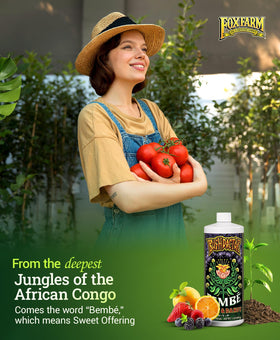 FoxFarm Bembé Sweet & Dandy bottle shown in a home garden for flavorful harvest.