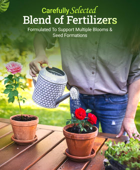 FoxFarm Big Bloom applied to flowering plants for vibrant blooms
