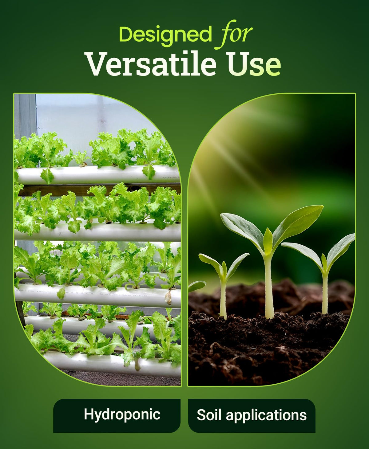 FoxFarm Kangaroots provides immediate nutrient uptake for faster plant response.