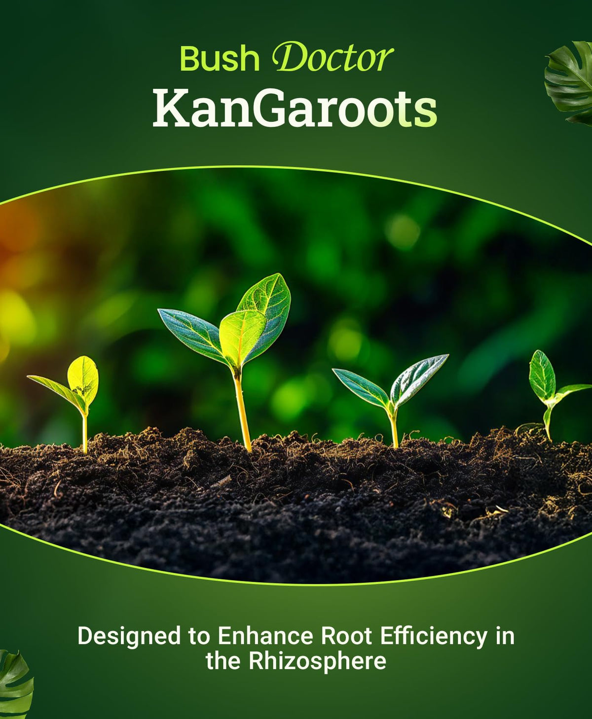 FoxFarm Kangaroots bottle label highlights usage and benefits.