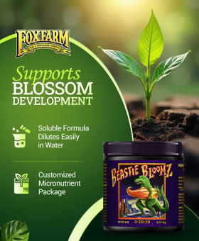 FoxFarm Cha Ching enhances late-stage fruiting with essential nutrient delivery for healthier yields.