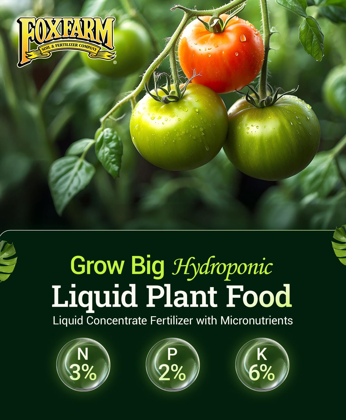 FoxFarm Grow Big bottle highlighting micronutrients for vigorous vegetative growth