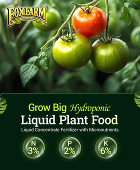 FoxFarm Grow Big bottle highlighting micronutrients for vigorous vegetative growth