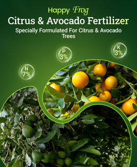 Applying FoxFarm Happy Frog around the tree base supports steady nutrient delivery.