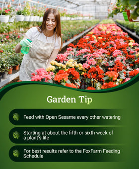 FoxFarm Open Sesame bottle beside thriving blooms
