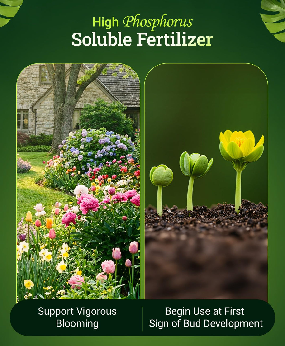 FoxFarm Open Sesame bloom setup for hydroponics and soil