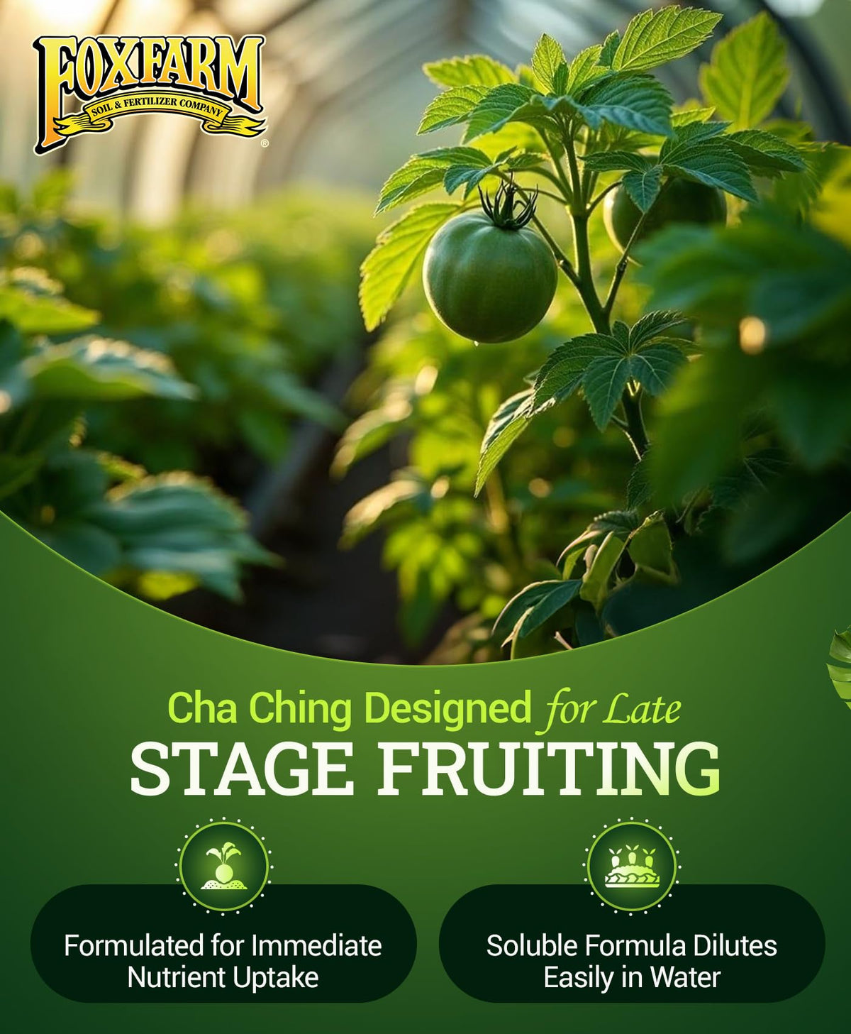 FoxFarm Soluble plant food dissolves easily in water for smooth, hassle-free feeding.