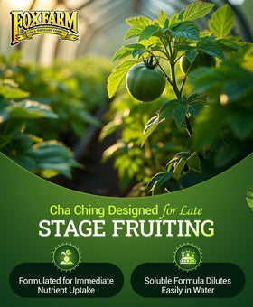 FoxFarm Soluble plant food dissolves easily in water for smooth, hassle-free feeding.