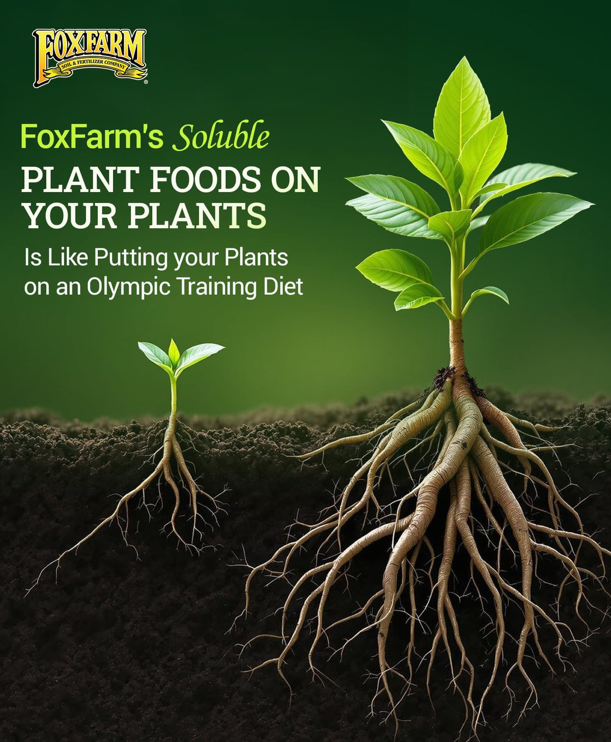 FoxFarm Soluble Trio Pack offers versatile feeding for hydroponics, soil, and soilless systems.
