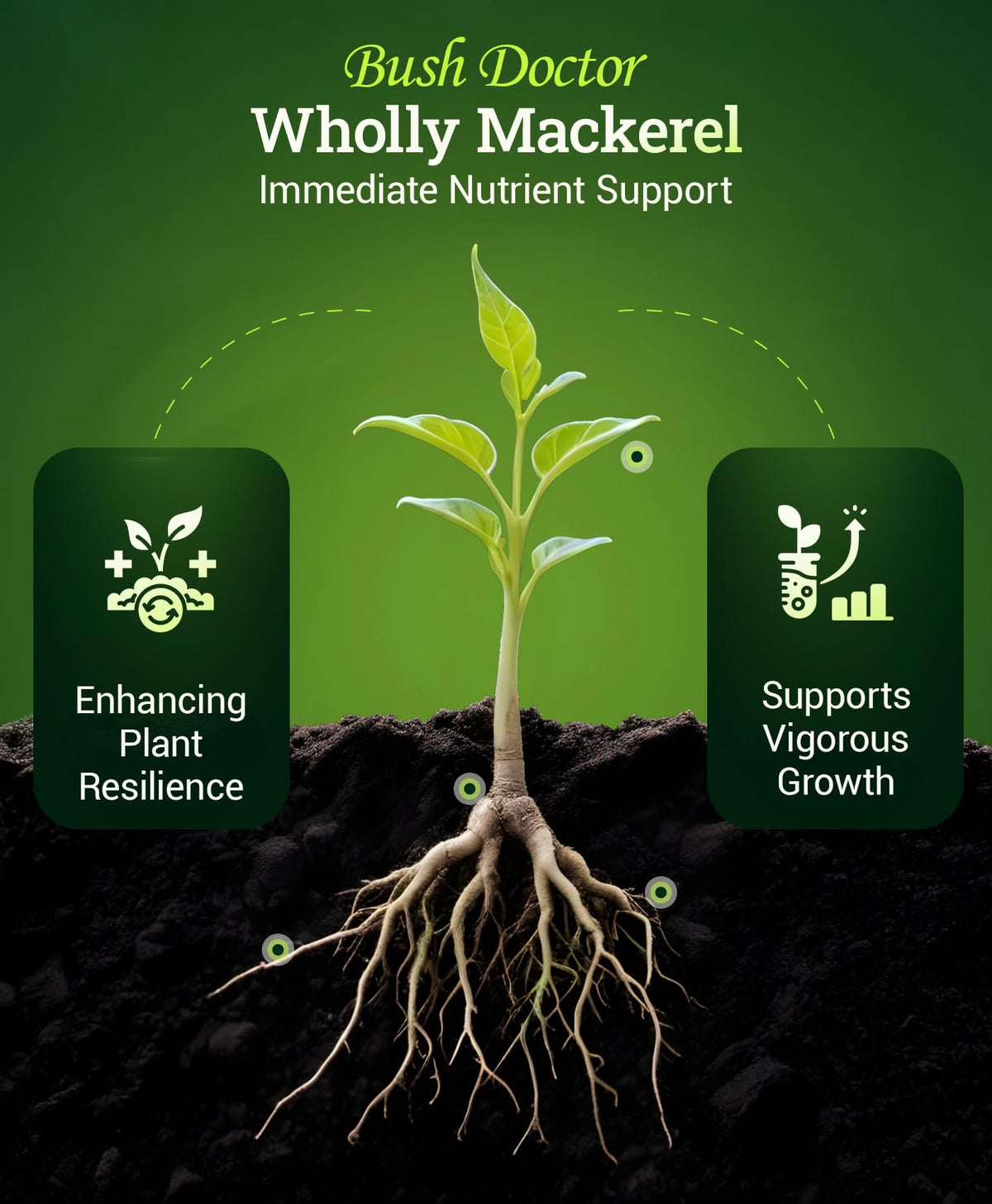 FoxFarm Wholly Mackerel fertilizer drench soil supports vigorous growth in-ground