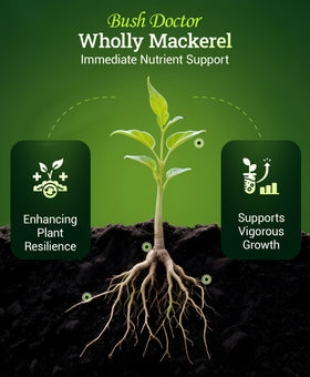 FoxFarm Wholly Mackerel fertilizer drench soil supports vigorous growth in-ground
