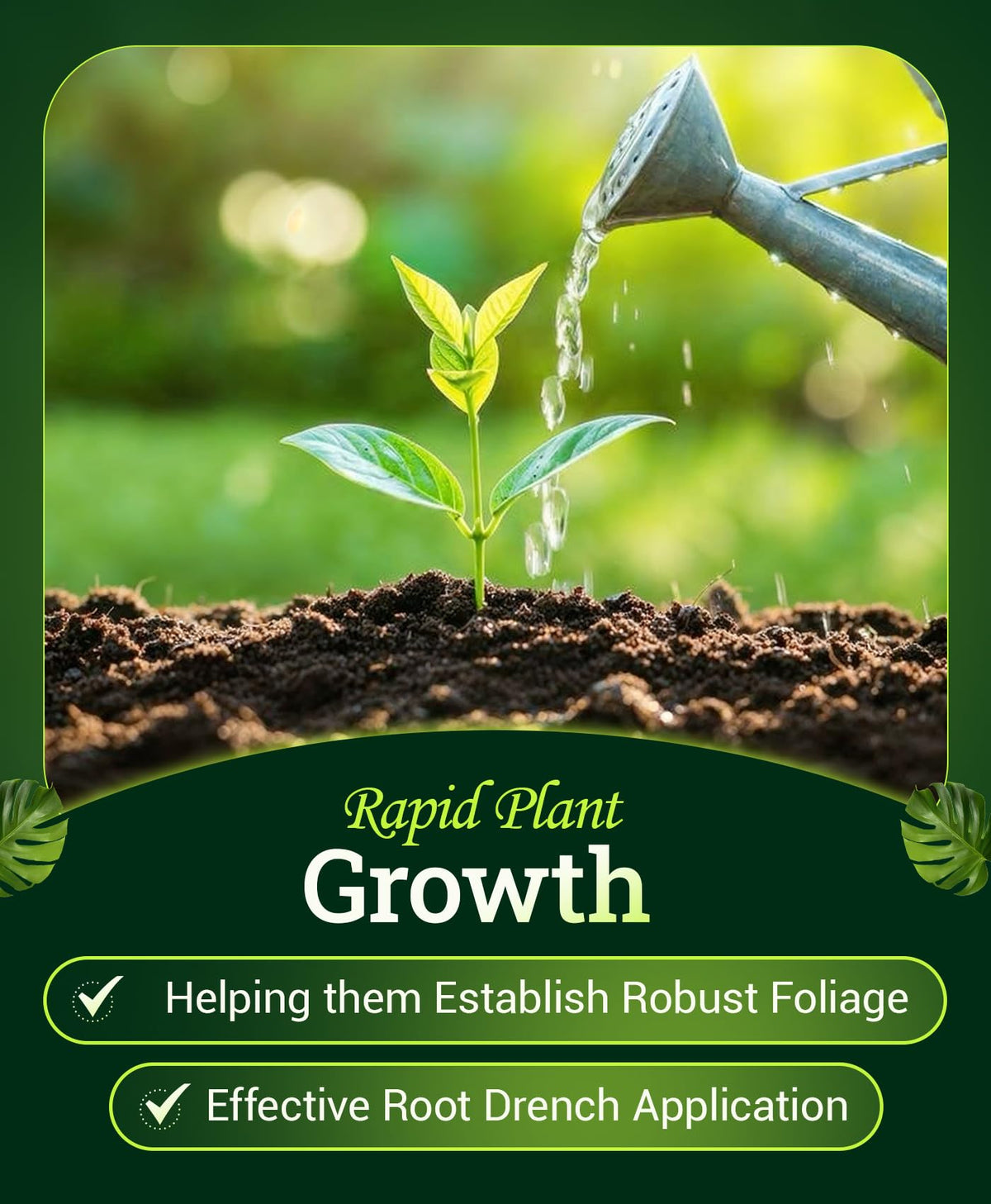 FoxFarm Wholly Mackerel provides immediate uptake for faster garden feeding