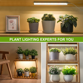FOXGARDEN 10 brightness levels tailor light intensity to plant stages and moods