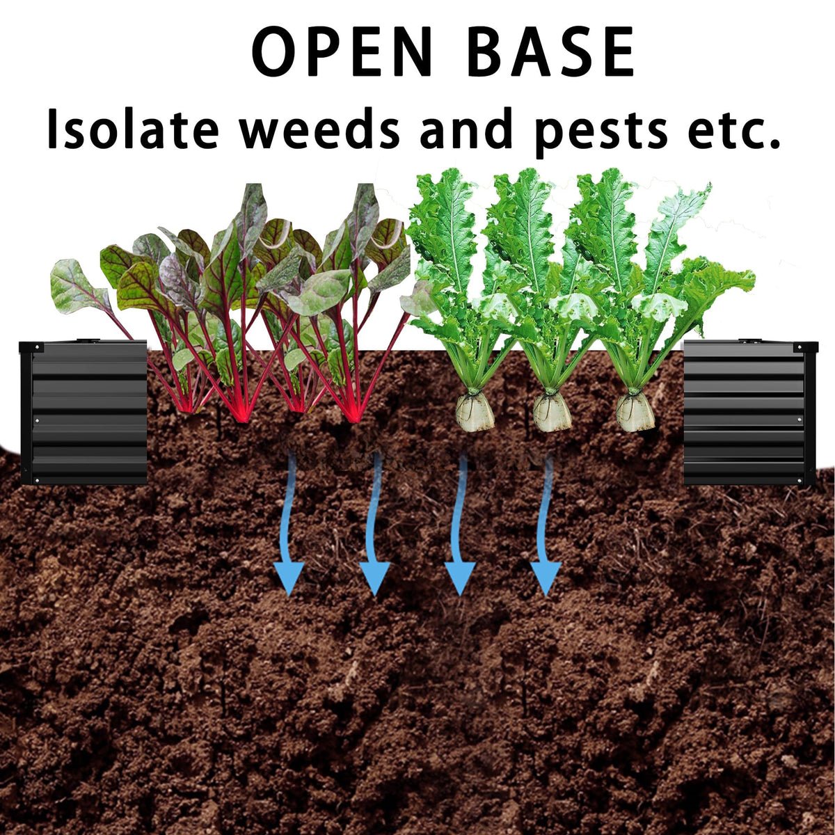 Foxlang 18-inch deep bed close-up, showcasing soil depth for deeper roots.
