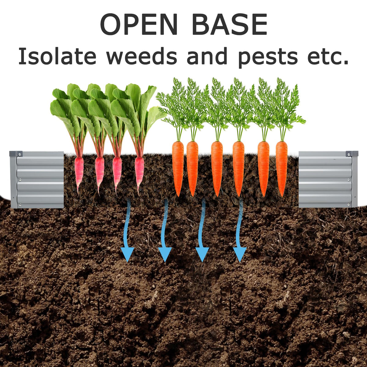 Foxlang open-base design promotes drainage and root aeration