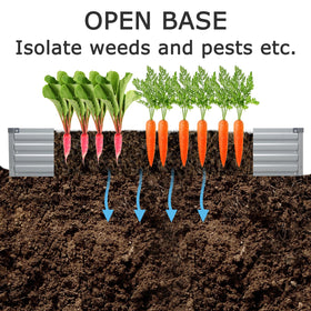 Foxlang open-base design promotes drainage and root aeration