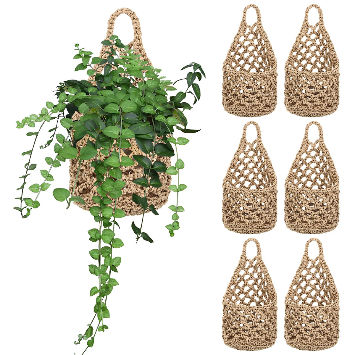 Foxtell 6-pack macrame plant hangers display six plants for a compact wall garden.