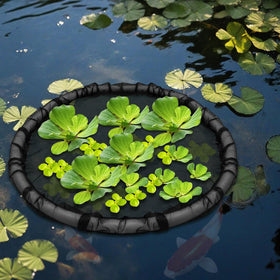 Foxtell floating flora island protects multiple pond plants.