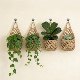 Foxtell easy-hang wall planters require no drilling for quick setup.