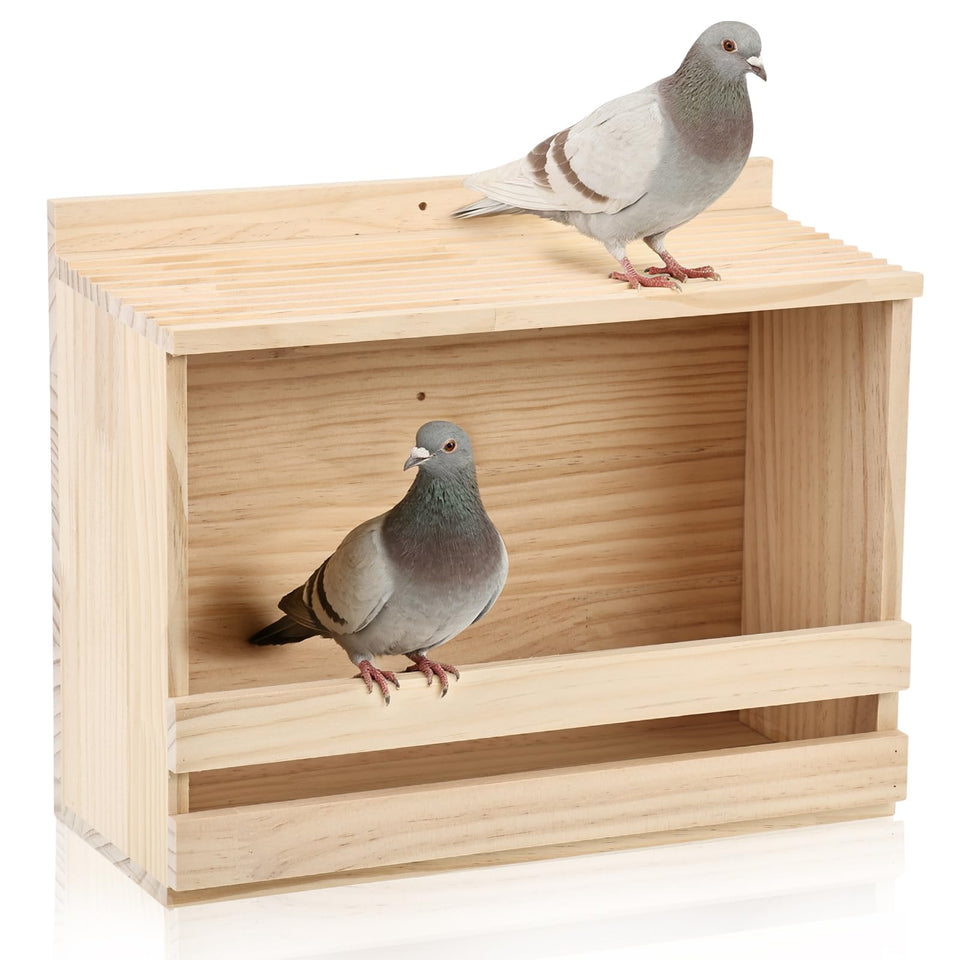 Foxtell open-mourning-dove-nesting-box with open-entry design for natural nesting.