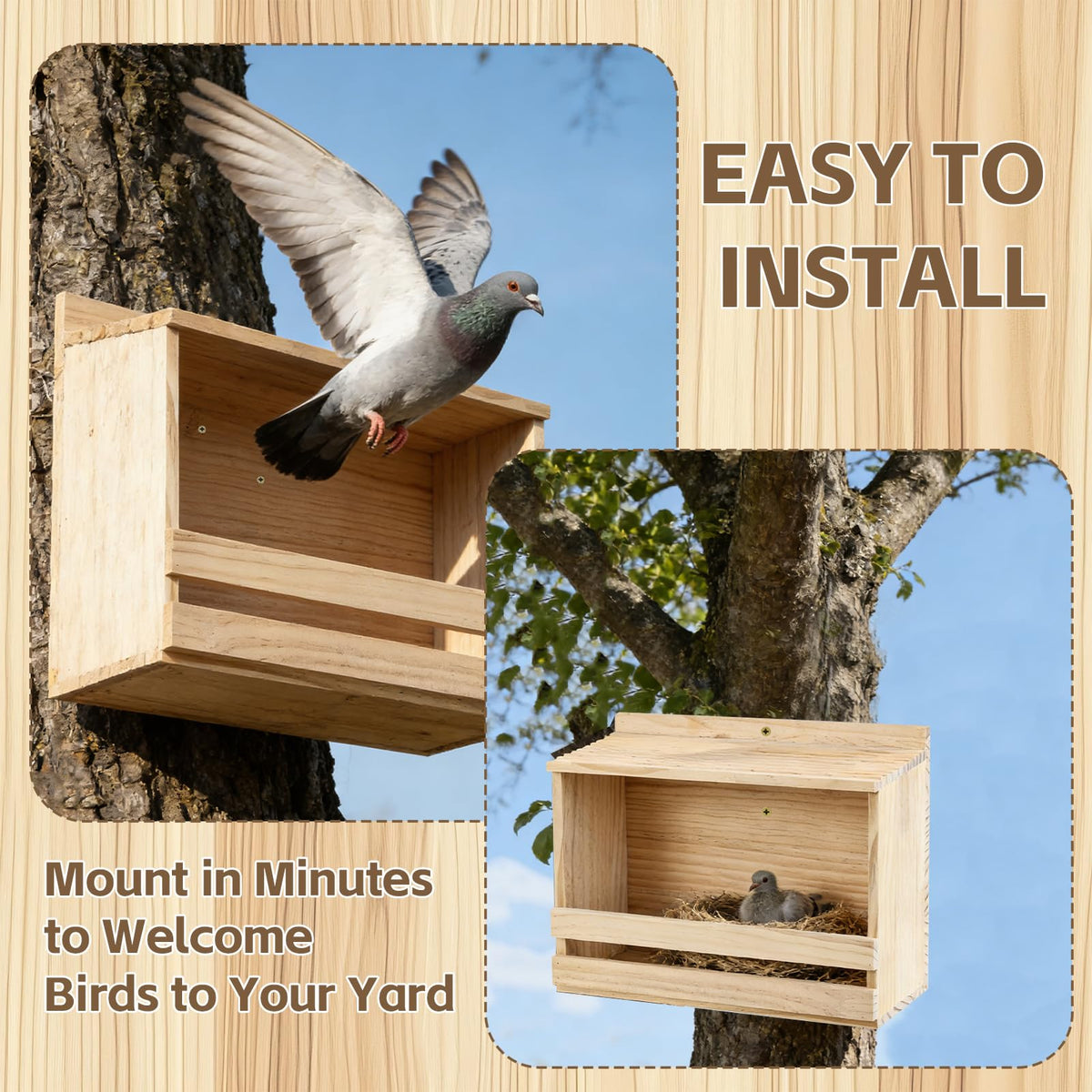 Foxtell open-mourning-dove-nesting-box doubles as garden decor and wildlife habitat.