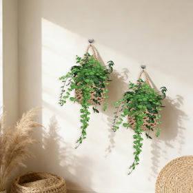 Foxtell indoor-outdoor display keeps plants near living spaces.