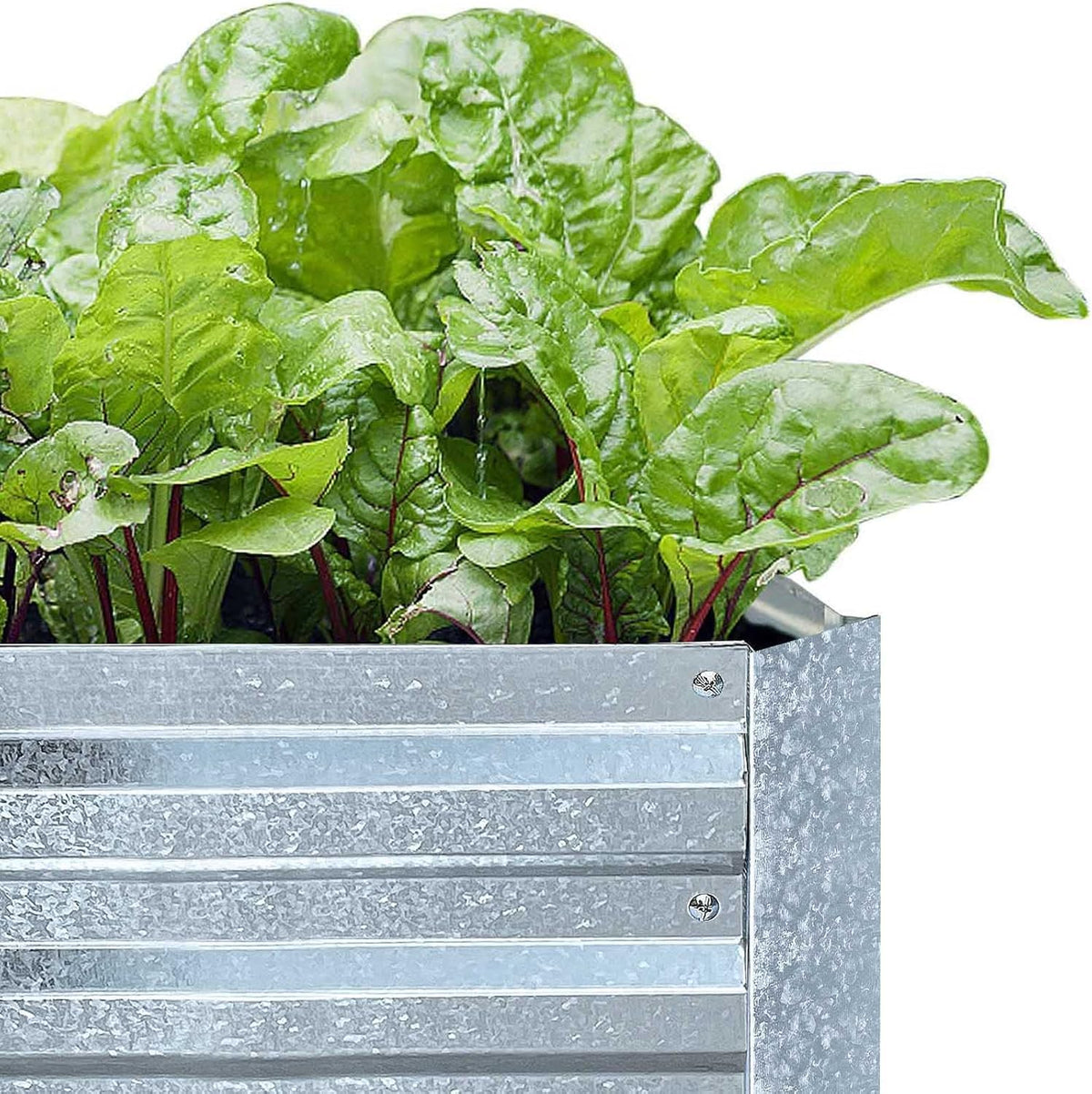 FOYUEE heavy-duty galvanized steel construction resists weather and rust