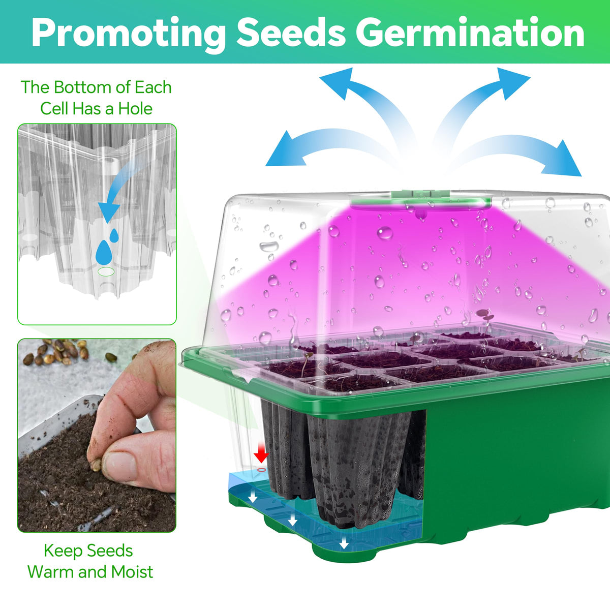 Framokoko USB controller enables scheduling for easy plant care.