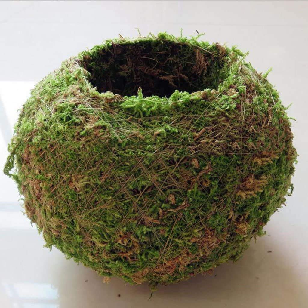 FRECI bonsai moss ball pot on table decor for lush greenery