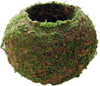 FRECI moss ball pot texture closeup highlighting natural material for decorative indoor greenery