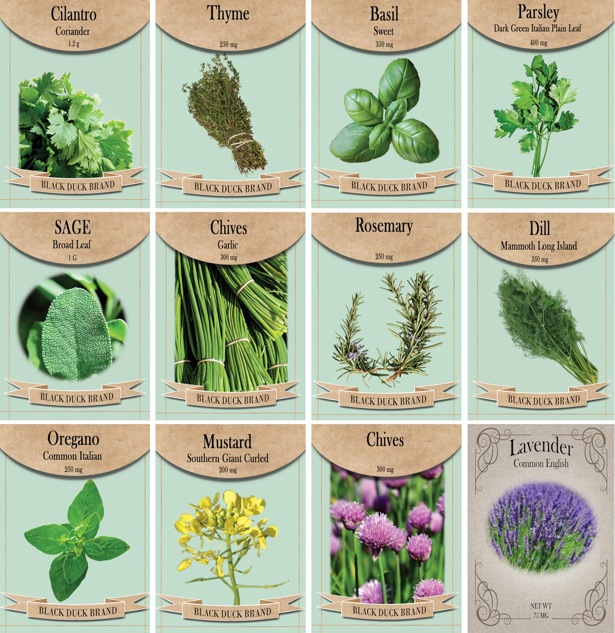 Freedom Farms herb seed pack collection front view showing 12 varieties for fresh meals.