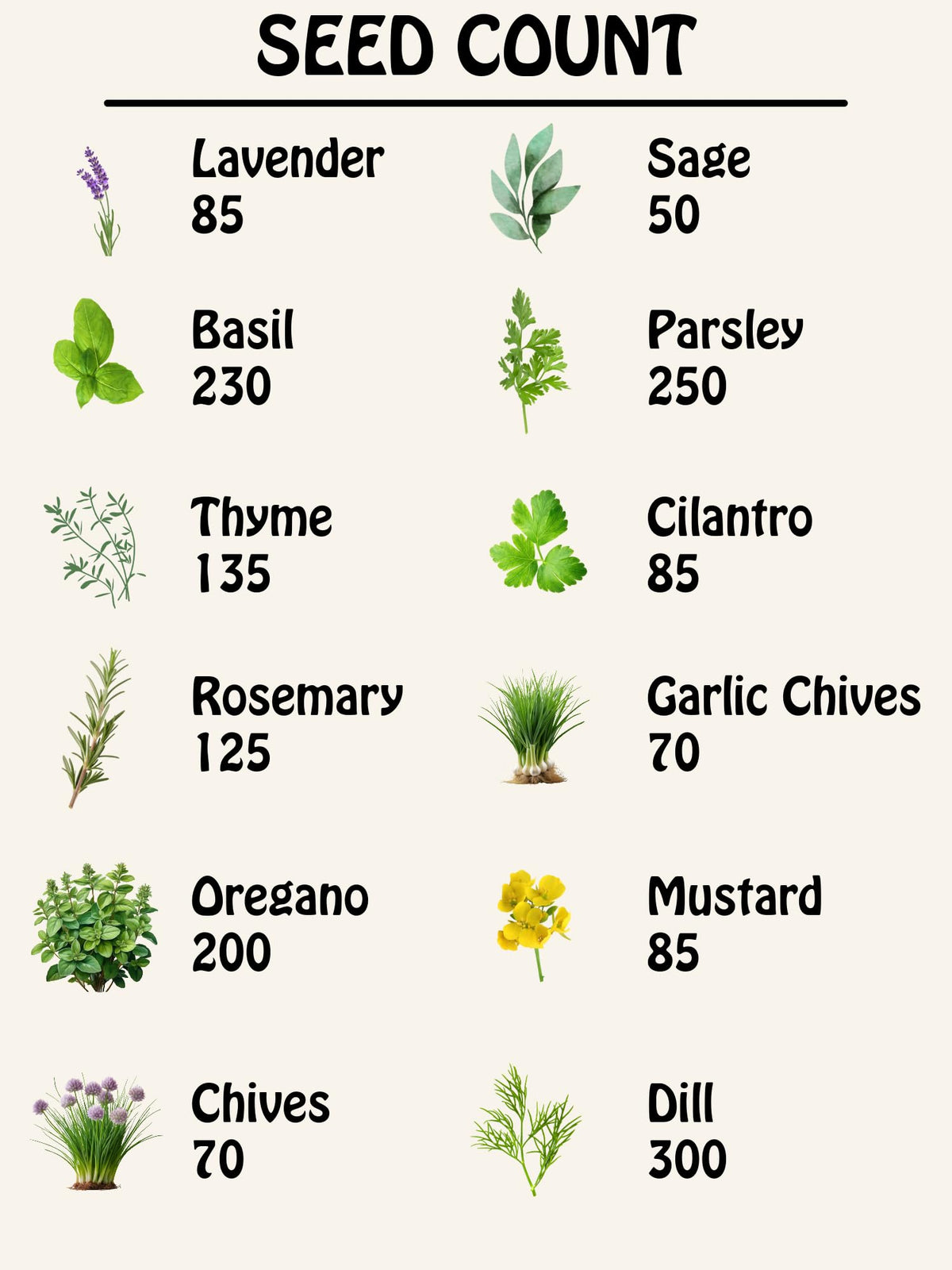 Freedom Farms herb seed pack collection garden setup inspires balcony herbs and sustainable growing.