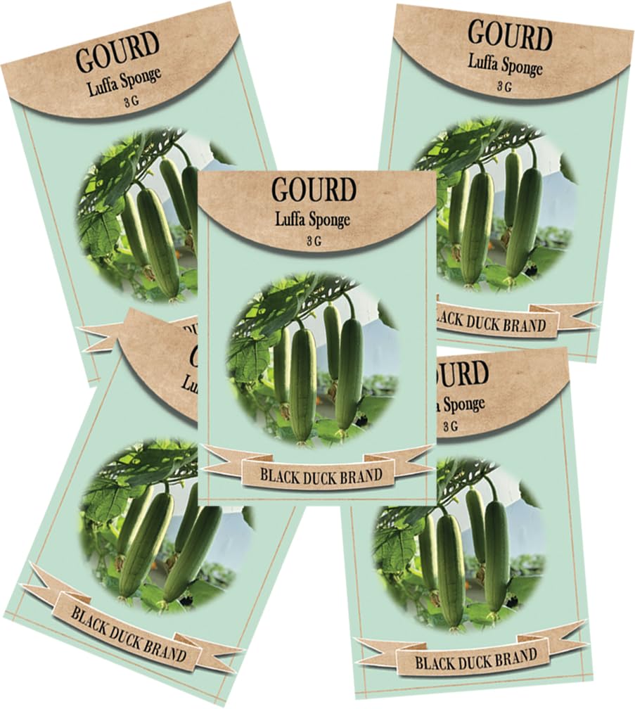 Freedom Farms luffa seeds bulk pack for home sponge gardens.