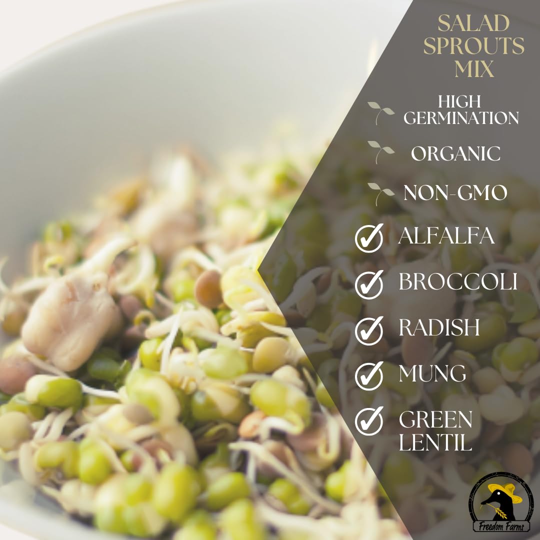 Fresh sprouts growing in a jar from Freedom Farms mix