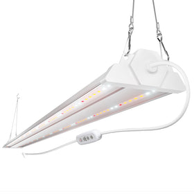 FREELICHT 4ft LED grow light with timer enables precise daily cycles for indoor plants.