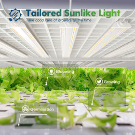 FREELICHT energy-saving 60W light delivers 350W-equivalent growth power.