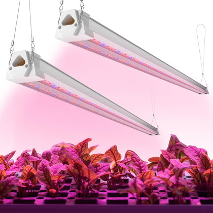 Freelicht LED grow light 4ft setup provides even indoor plant coverage.