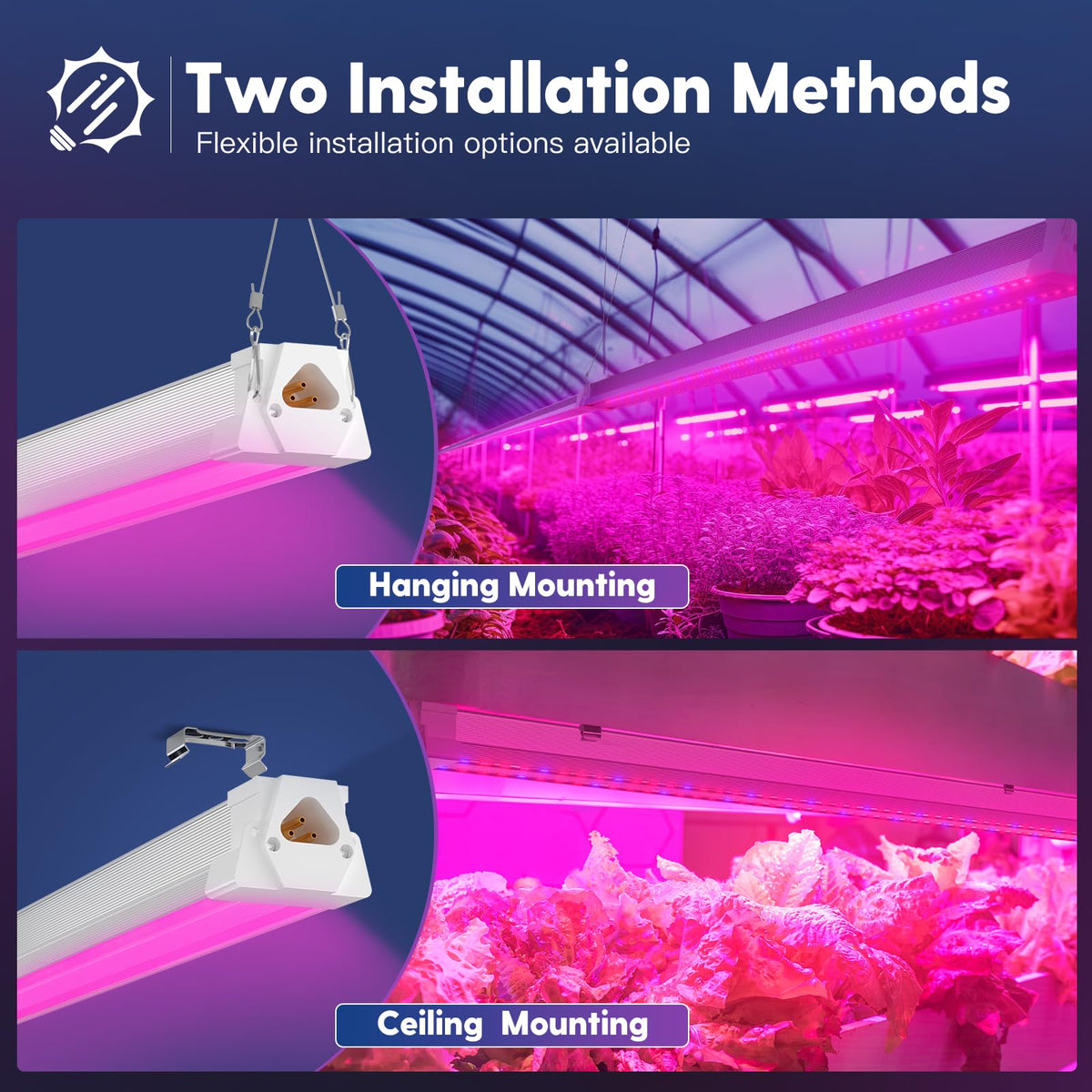 Freelicht flowering and fruiting support for home plants.