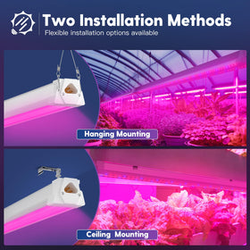 Freelicht flowering and fruiting support for home plants.