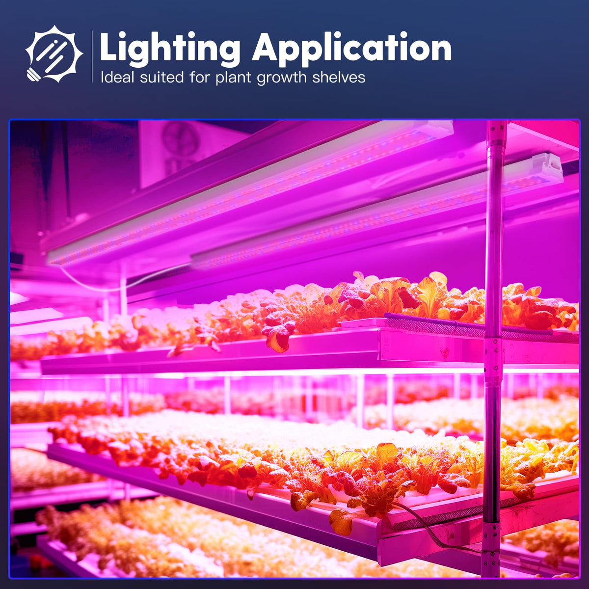 Freelicht grow-shelf cabinet lighting for compact grow spaces.