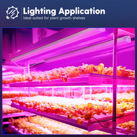 Freelicht grow-shelf cabinet lighting for compact grow spaces.