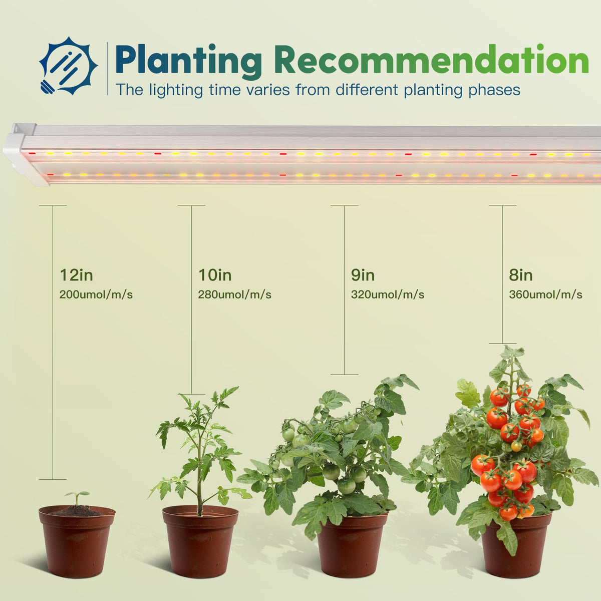 FREELICHT linkable design supports up to four units for larger grow spaces.