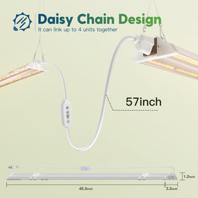 FREELICHT plug-in setup for quick start without extra bulbs.