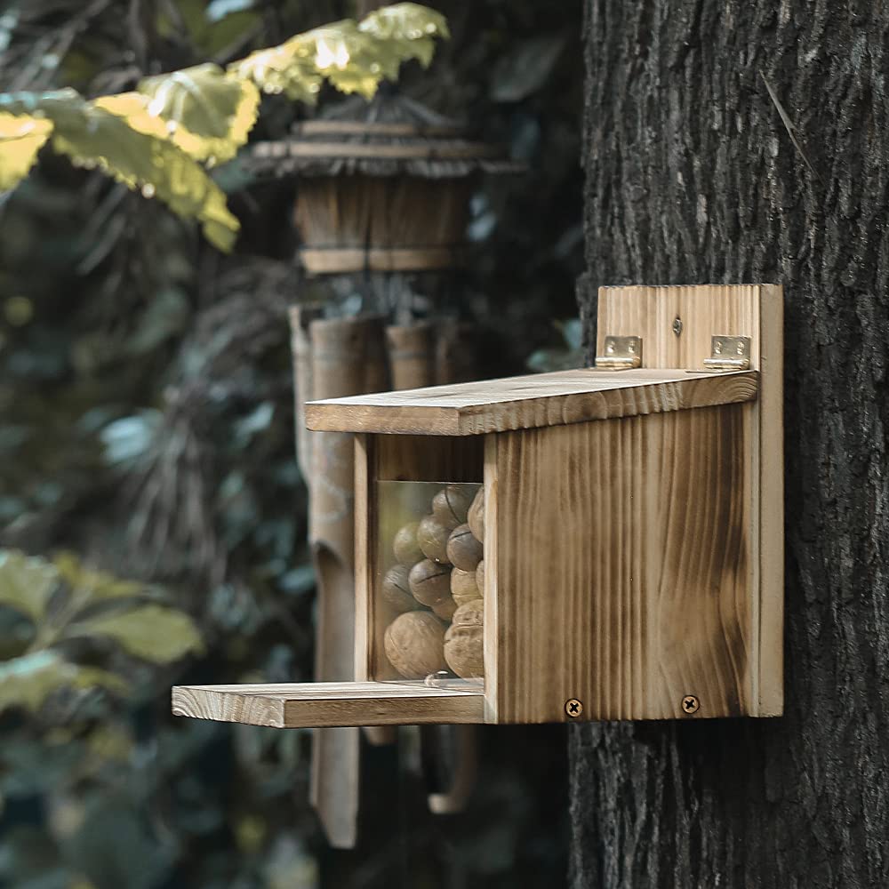 Freezing Point wooden feeder mounted on a tree provides year-round nut access.